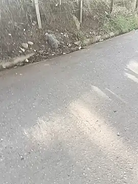 C vas  online show from 12.07.24