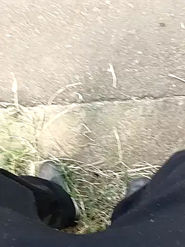 C vas  online show from 12.11.24