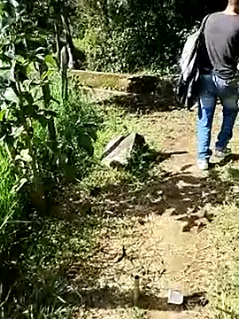 C vas  online show from 03.16.25