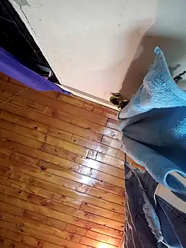      sams online show from 01.11.25