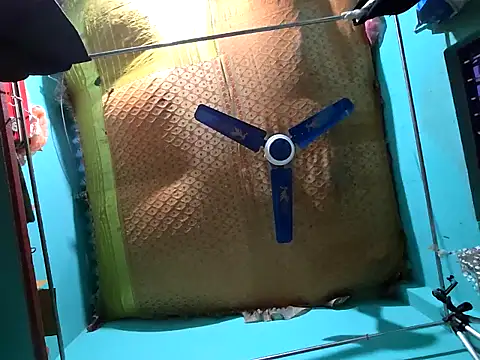 Snapshot of hotbaby_5 chatting on 12.14.24 hotbaby 5 online show from 12.14.24