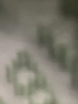 Estefanii- online show from 12.16.24