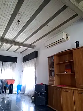 CAT28004 online show from 12.15.25