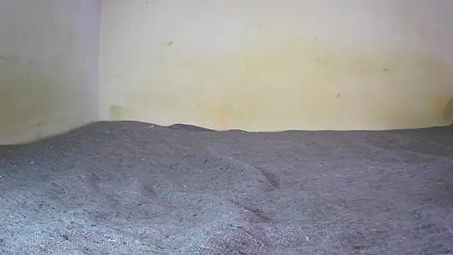 fern tlk online show from 12.24.24