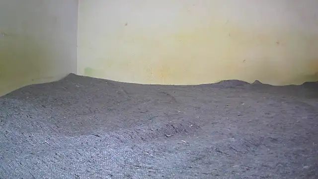 fern tlk online show from 02.01.25