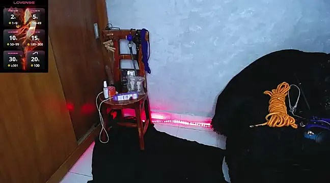 Snapshot of mysteery_katty_ chatting on 12.16.24 mysteery katty online show from 12.16.24