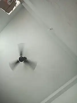 Snapshot of pintuS40 chatting on 11.06.25 pintuS40 online show from 11.06.25