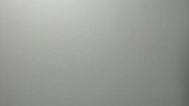 sussy leon online show from 02.27.25