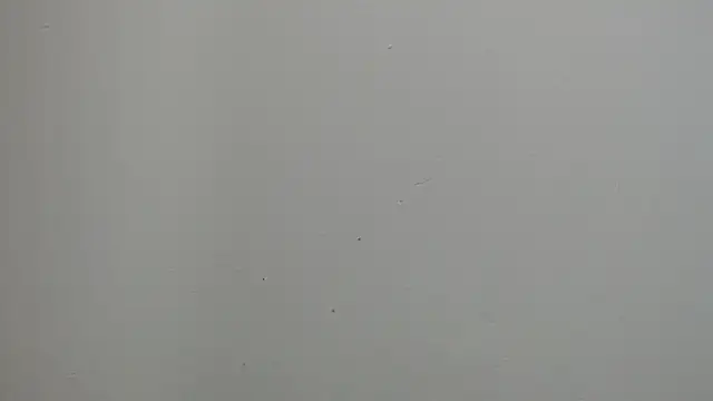 sussy leon online show from 03.18.25