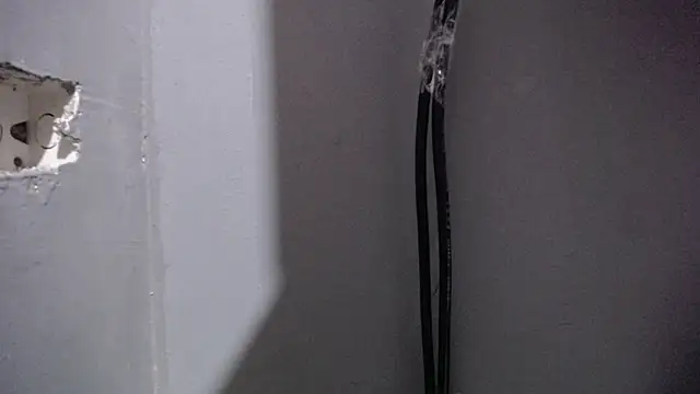 ladynemesis online show from 11.03.25