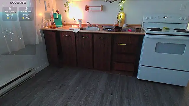 Snapshot of Kittyymaze1 chatting on 01.28.25 Kittyymaze1 online show from 01.28.25