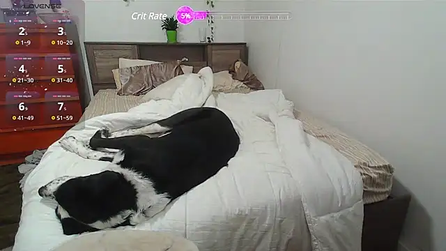 Snapshot of Kittyymaze1 chatting on 02.25.25 Kittyymaze1 online show from 02.25.25