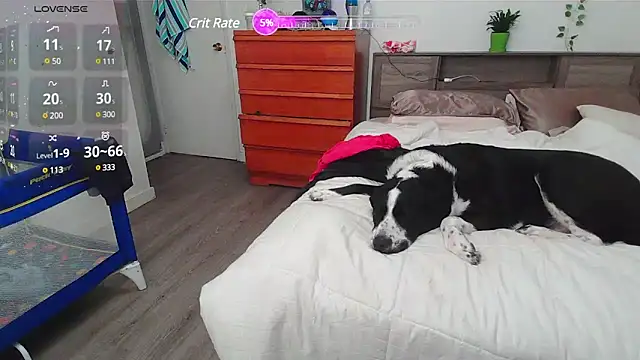 Snapshot of Kittyymaze1 chatting on 03.02.25 Kittyymaze1 online show from 03.02.25