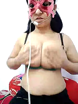 Snapshot of wildsakhi chatting on 02.07.25 wildsakhi online show from 02.07.25