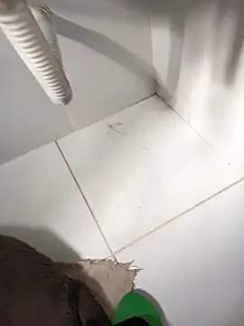 Snapshot of lobomisterioso13 chatting on 03.14.25 lobomisterioso13 online show from 03.14.25