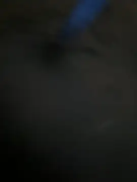 Snapshot of A-mira chatting on 02.10.26 A-mira online show from 02.10.26