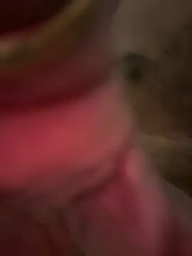 Snapshot of A-mira chatting on 03.02.26 A-mira online show from 03.02.26