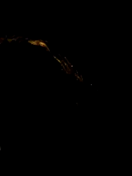 pleasure of life online show from 04.19.26