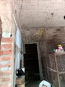 NICK IN online show from 02.24.25