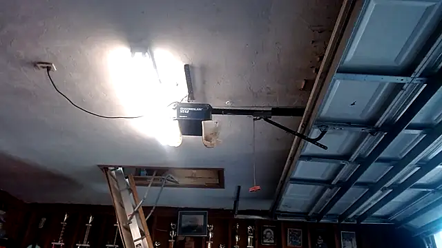 Buffshagswell online show from 03.19.25