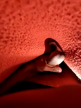 Snapshot of Ssdhaka11 chatting on 12.25.24 Ssdhaka11 online show from 12.25.24