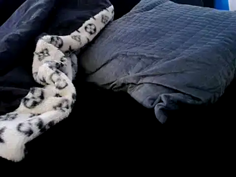 Niquitasparkles online show from 12.23.24