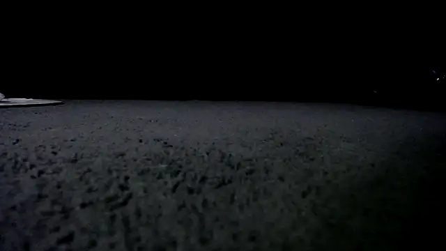 Niquitasparkles online show from 01.24.25