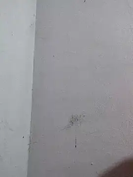 Negrocomedo online show from 03.06.26