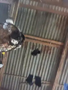 Reynold2608 online show from 12.22.25