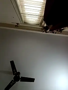 blr boi online show from 12.03.25