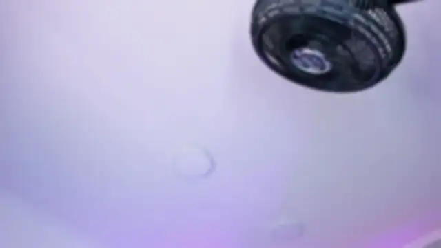 AmberiniHoffman online show from 10.26.25