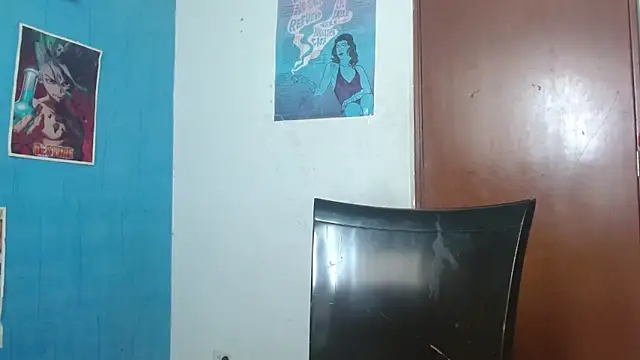 Snapshot of Party_trans chatting on 12.08.24 Party trans online show from 12.08.24