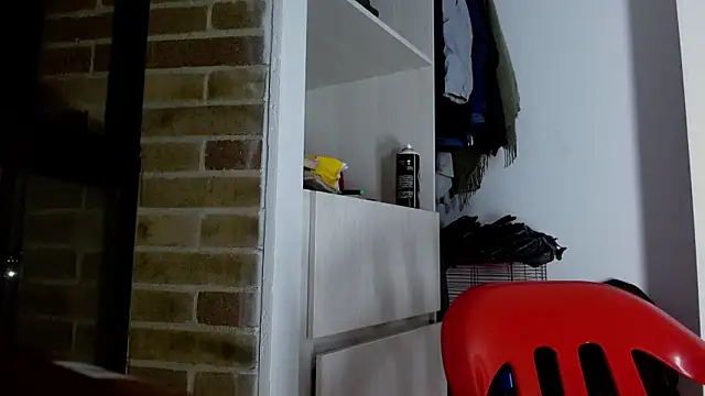 Snapshot of Party_trans chatting on 01.01.25 Party trans online show from 01.01.25