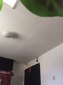 Miss oliviaa online show from 03.08.25