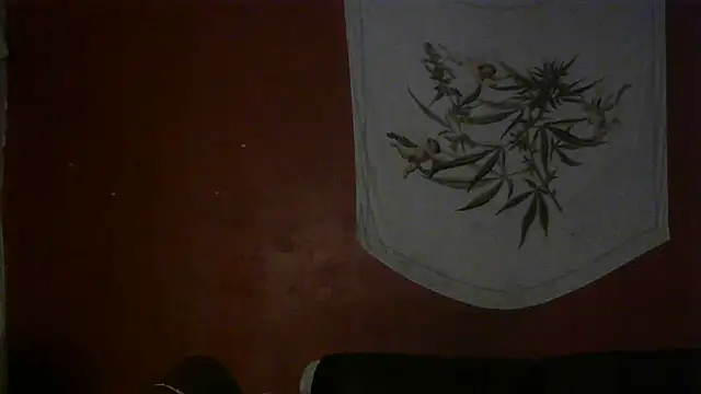 Snapshot of spacegirlll chatting on 03.15.25 spacegirlll online show from 03.15.25