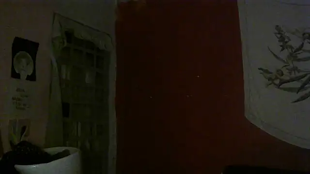 Snapshot of spacegirlll chatting on 03.16.25 spacegirlll online show from 03.16.25