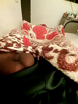 bengala223 online show from 01.28.25