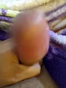 bengala223 online show from 12.04.25