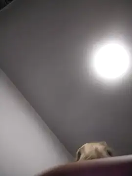 AudreySosa online show from 03.13.25