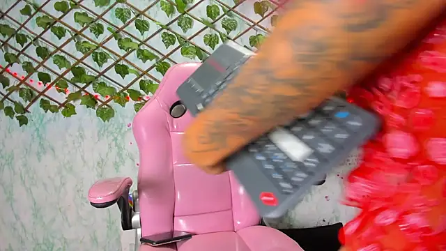 Snapshot of Pamesmith chatting on 11.20.25 Pamesmith online show from 11.20.25