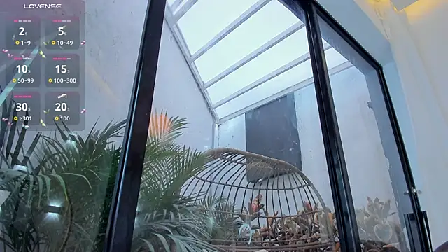 Venusflame   online show from 10.18.25