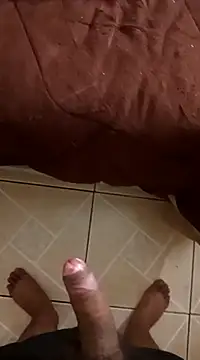 pedritolobito online show from 12.30.24