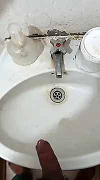 pedritolobito online show from 02.27.25