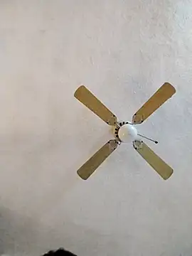 FreakySag 8888 online show from 03.10.25