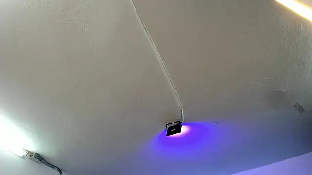 Amy Kiitty  online show from 11.21.25