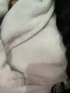 Lina-lolo online show from 12.25.24