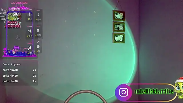 mielikki001 online show from 01.01.25