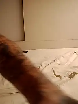 rolesexy online show from 01.19.25