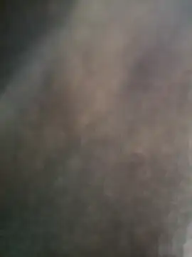 Gujrat player online show from 01.08.25