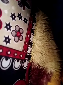 Gujrat player online show from 03.13.25